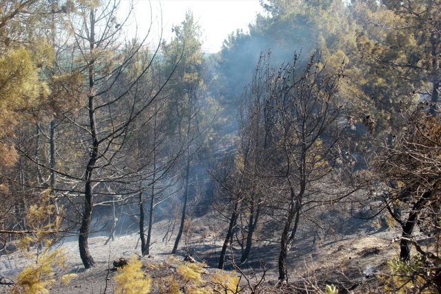 Uşak'ta yangın! Ormanlık alan ve tarım arazisi zarar gördü 10