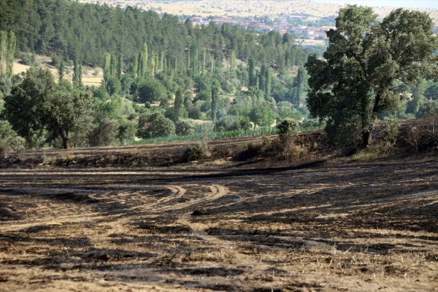 Uşak'ta yangın! Ormanlık alan ve tarım arazisi zarar gördü 9