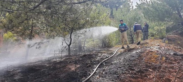 Banaz'da orman yangını 6