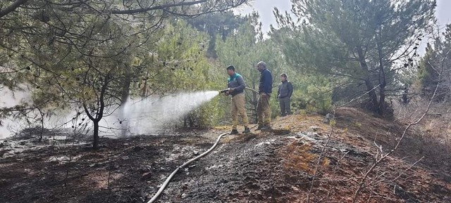 Banaz'da orman yangını 8