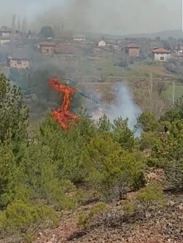 Banaz'da orman yangını 2