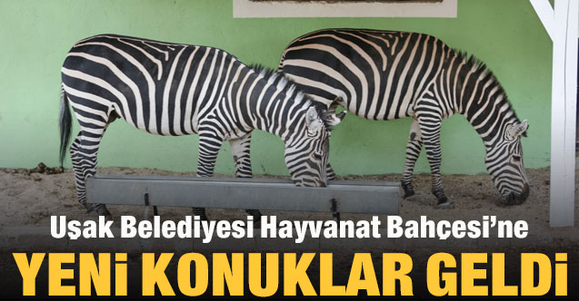Uşak Belediyesi Hayvanat Bahçesi’ne yeni konuklar geldi