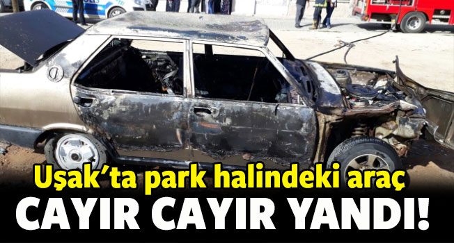 Uşak'ta park halindeki araç yandı