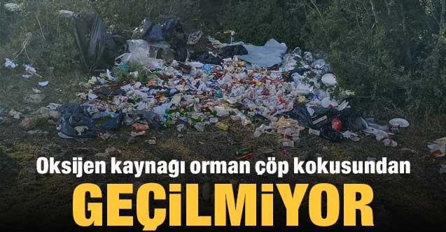 Oksijen kaynağı orman çöp kokusundan geçilmiyor