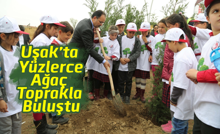 Uşak'ta Yüzlerce Ağaç Toprakla Buluştu