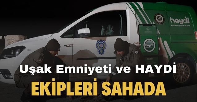 Uşak HAYDİ ekipleri soğuk havalarda sokak hayvanlarını unutmadı