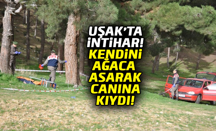 Uşak'ta İntihar! Kendini ağaca asarak canına kıydı