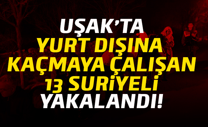 Uşak'ta 13 kaçak Suriyeli yakalandı
