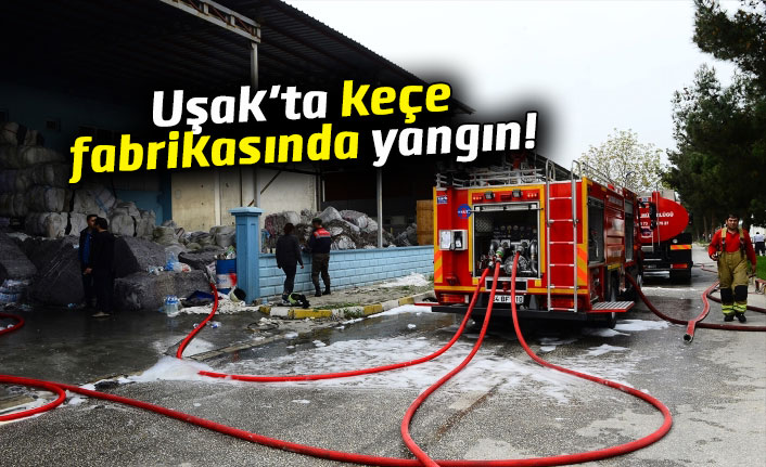 Uşak'ta keçe fabrikasında yangın çıktı