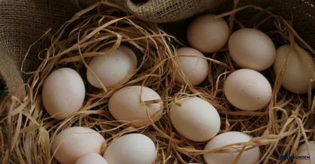 Bim, A101, Şok, Migros, CarreforSA'da yumurta fiyatlarına inanamayacaksınız! En ucuz yumurtanın satıldığı market belli oldu