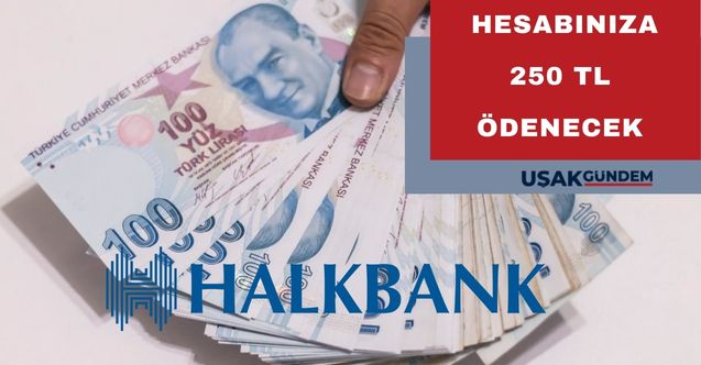 Banka hesabı olanlar dikkat! 48 saat içinde başvuru yapanların hesabına Halkbank 250 TL ödeyecek