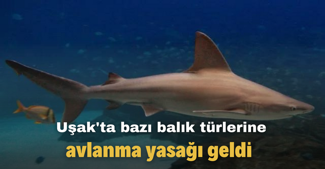 Uşak'ta bazı balık türlerine avlanma yasağı geldi