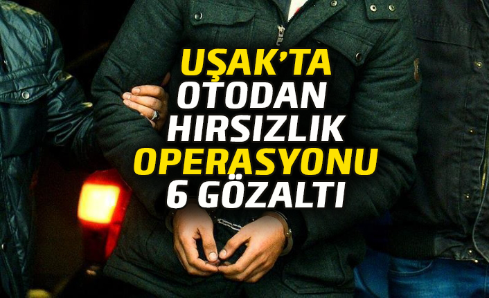 Uşak'ta otodan hırsızlık operasyonu, 6 gözaltı