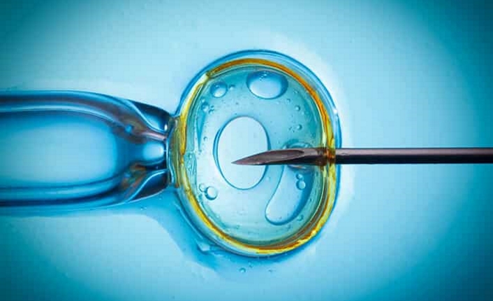 İleri Yaşta Tüp Bebek Tedavisi ve Gebelik