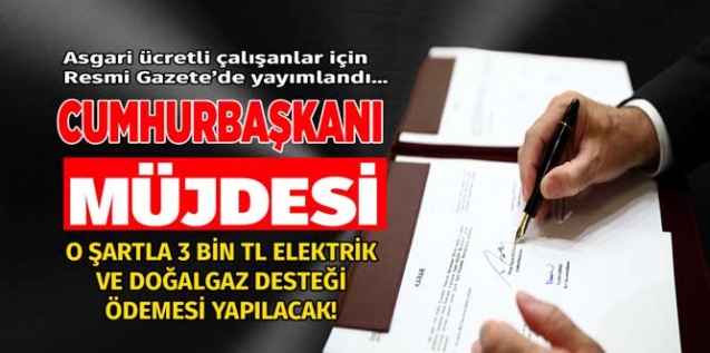 Asgari ücretlilere ve özel sektör çalışanlarına o şartla 3.000 TL doğalgaz ve elektrik desteği kararı Resmi Gazete ile yayımlandı!
