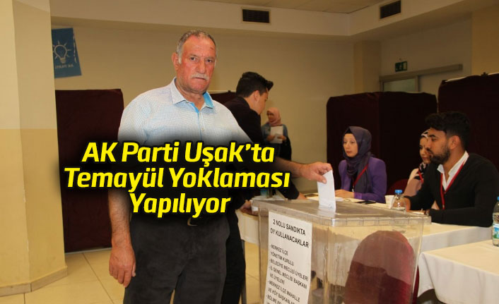 AK Parti Uşak'ta temayül yoklaması