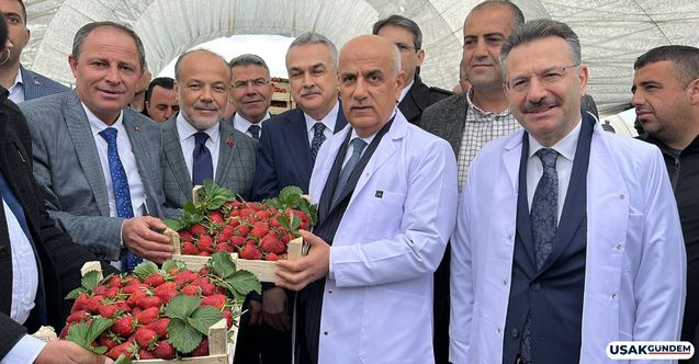 Tarım ve Orman Bakanı Kirişci açıkladı! Örtü altı sera alanı 811 bin dekara çıktı