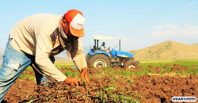 Bakan Kirişçi duyurdu! 1 milyar 268 milyon çiftçilere destek ödemesi bugün hesaplara yatırılıyor