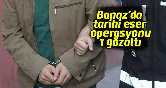 Banaz'da tarihi eser operasyonu