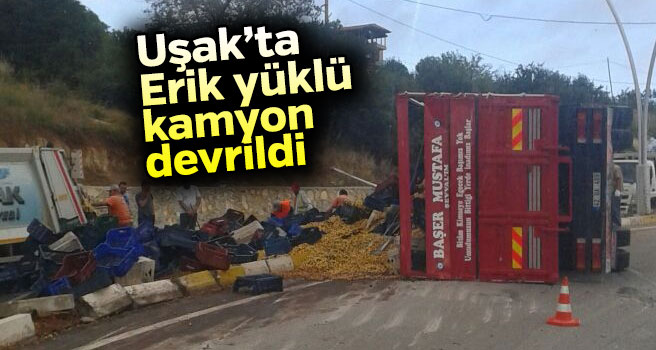 Uşak'ta erik yüklü kamyon devrildi