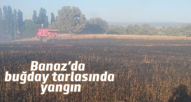 Banaz'da buğday tarlasında yangın