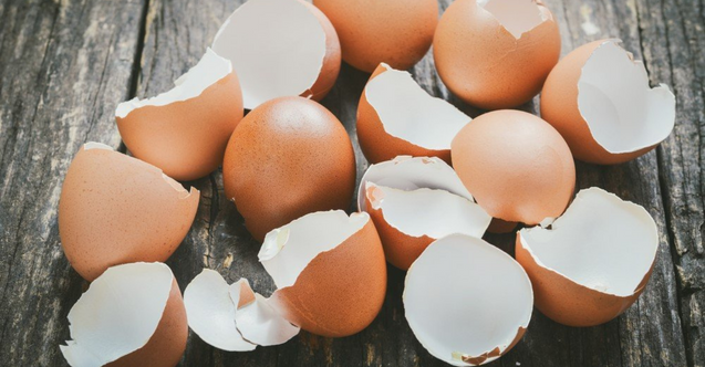 Yumurta kabuklarını sakın çöpe atmayın! Un haline getirip zeytinyağı ekleyin ve bunu yapın