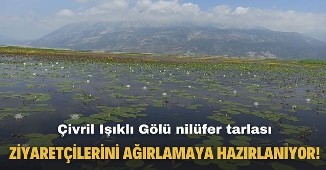 Çivril Işıklı Gölü nilüfer tarlası ziyaretçilerini ağırlamaya hazırlanıyor!