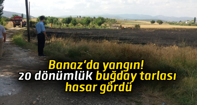 Banaz'da yangın! 20 dönümlük buğday tarlası hasar gördü