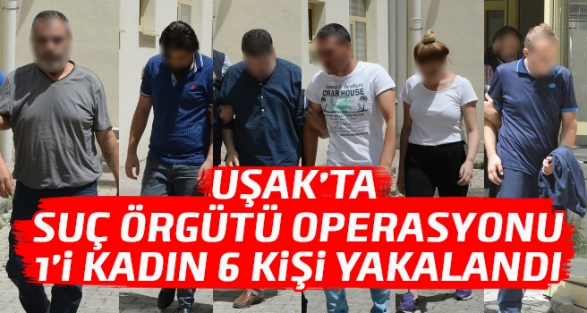 Uşak'ta suç örgütü operasyonu 6 kişi yakalandı