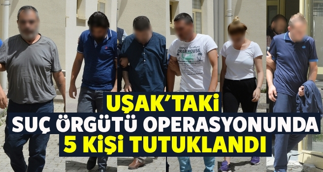 Uşak'taki suç örgütüne yönelik operasyonda 5 tutuklama