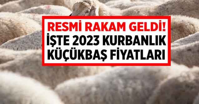 Milyonlar bekliyordu! TÜDKİYEB Kurban Bayramı Küçükbaş Kurbanlık Fiyatları 2023 açıklandı