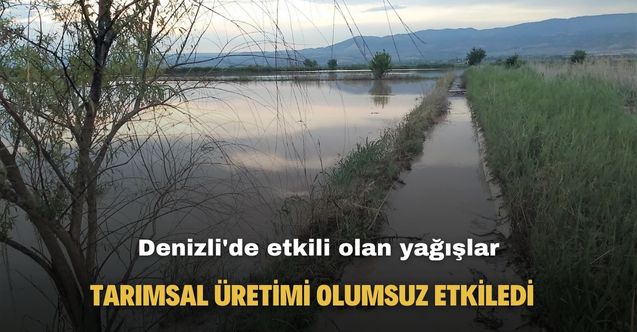 Denizli'de etkili olan yağışlar tarımsal üretimi olumsuz etkiledi