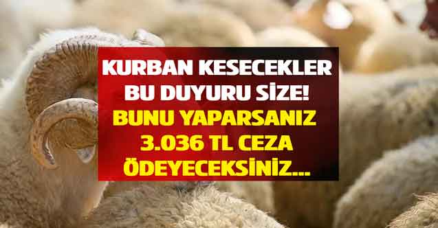 Kurban kesecek herkese duyuruldu! Bunu yapanlara tam 3.036 TL para cezası kesilecek