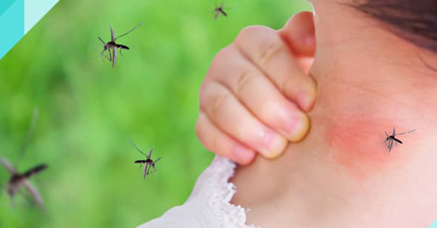 Sivrisineklerin en çok sevdiği kan grubu tespit edildi!
