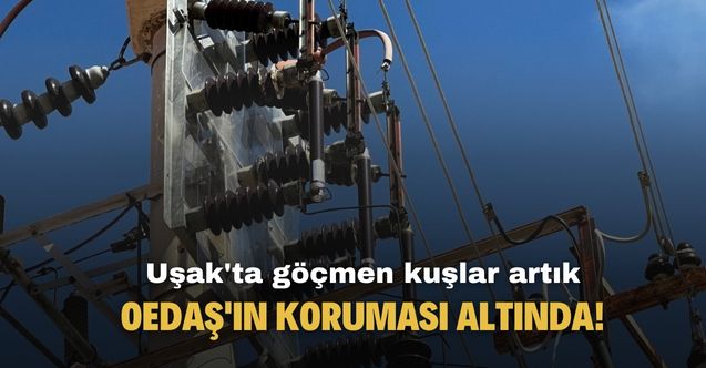 Uşak'ta göçmen kuşlar artık OEDAŞ ile güven altında!
