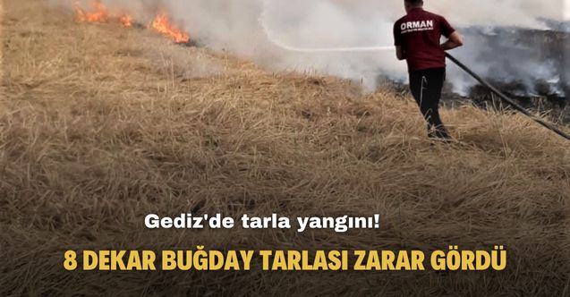 Gediz'de yangın! 8 dekar buğday tarlası zarar gördü