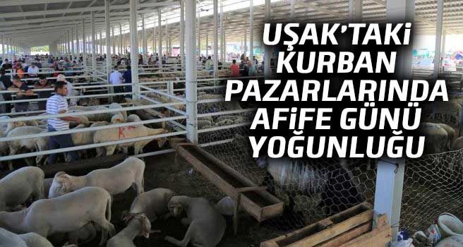 Uşak'taki hayvan pazarlarında Arife günü hareketliliği