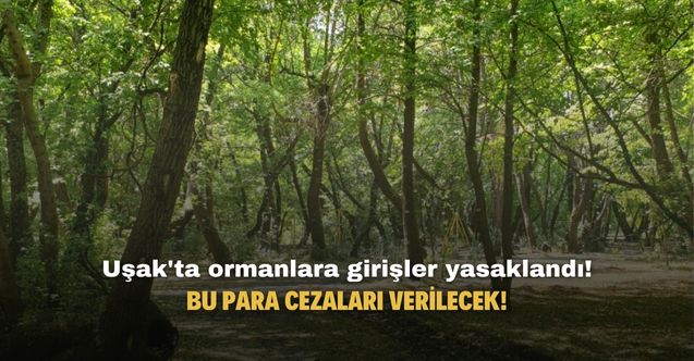 Uşak'ta ormanlara girişler yasaklandı! Bu para cezaları verilecek!