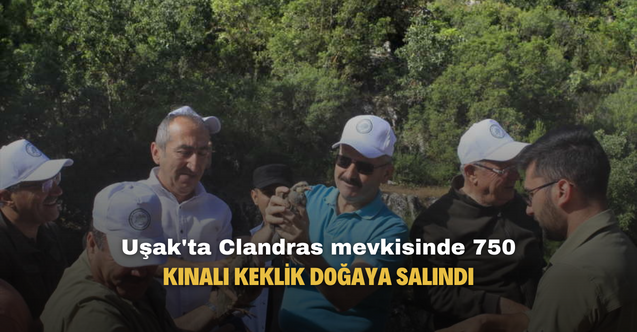 Uşak'ta Clandras mevkisinde çok sayıda kınalı keklik doğaya salındı