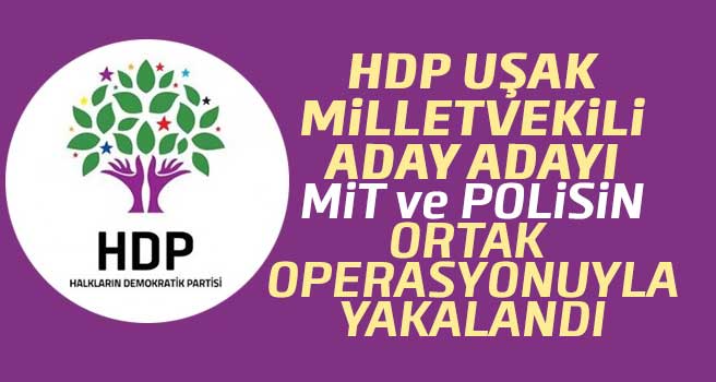 HDP Uşak milletvekili aday adayı gözaltına alındı