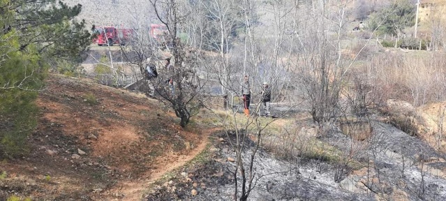 Banaz'da orman yangını
