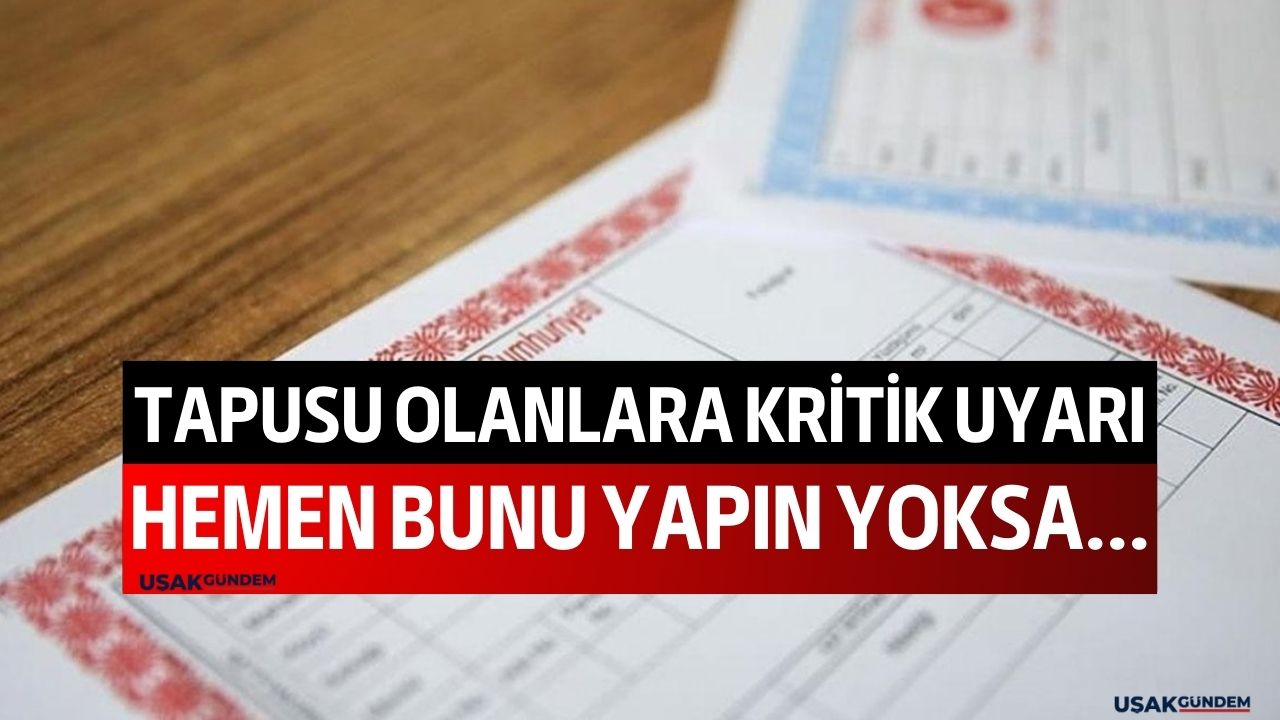 Tapusu olanlara çok kritik uyarı! Tapu müdürü açıkladı acilen e-Devlet üzerinden bunu yapmanız gerekiyor