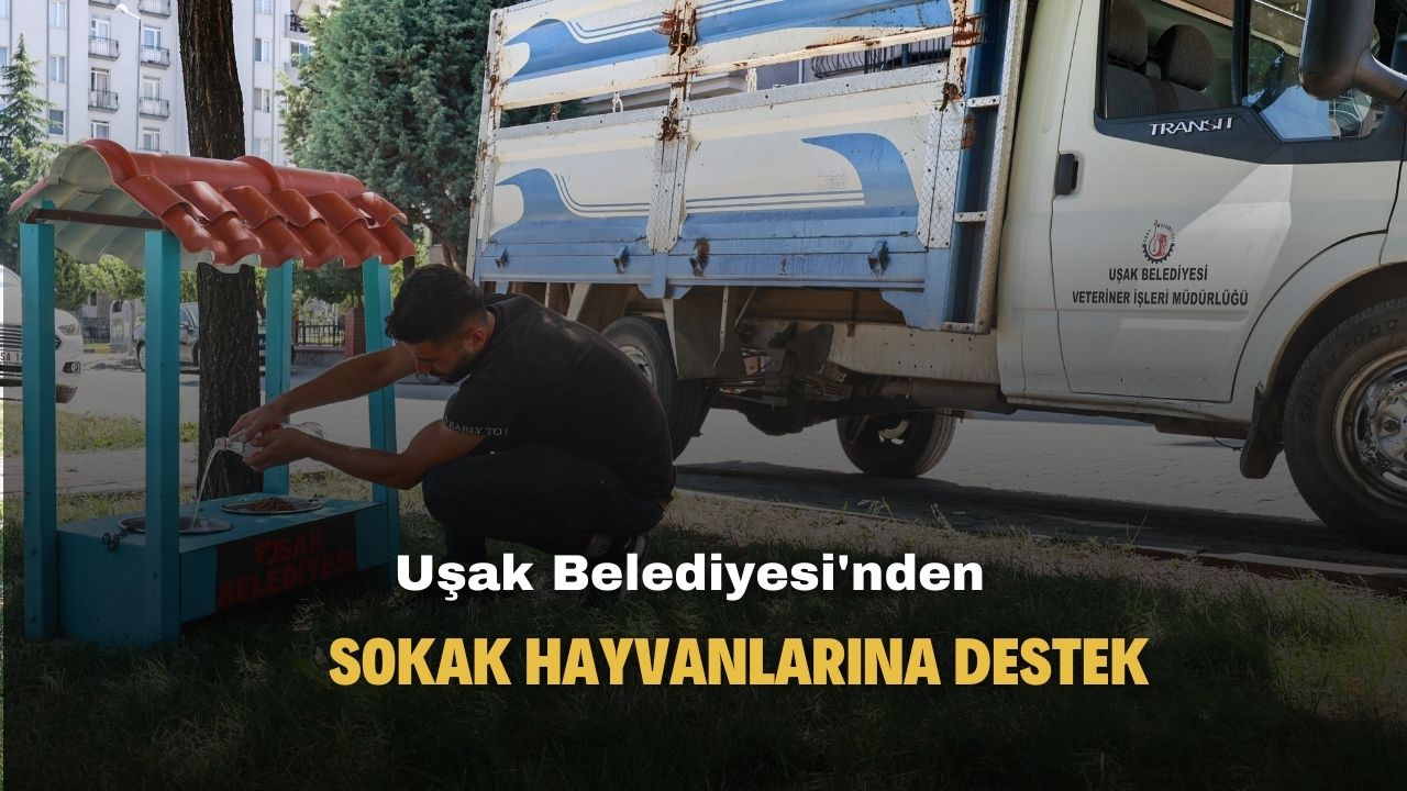 Uşak Belediyesi sıcak yaz günlerinde sokak hayvanlarını unutmadı
