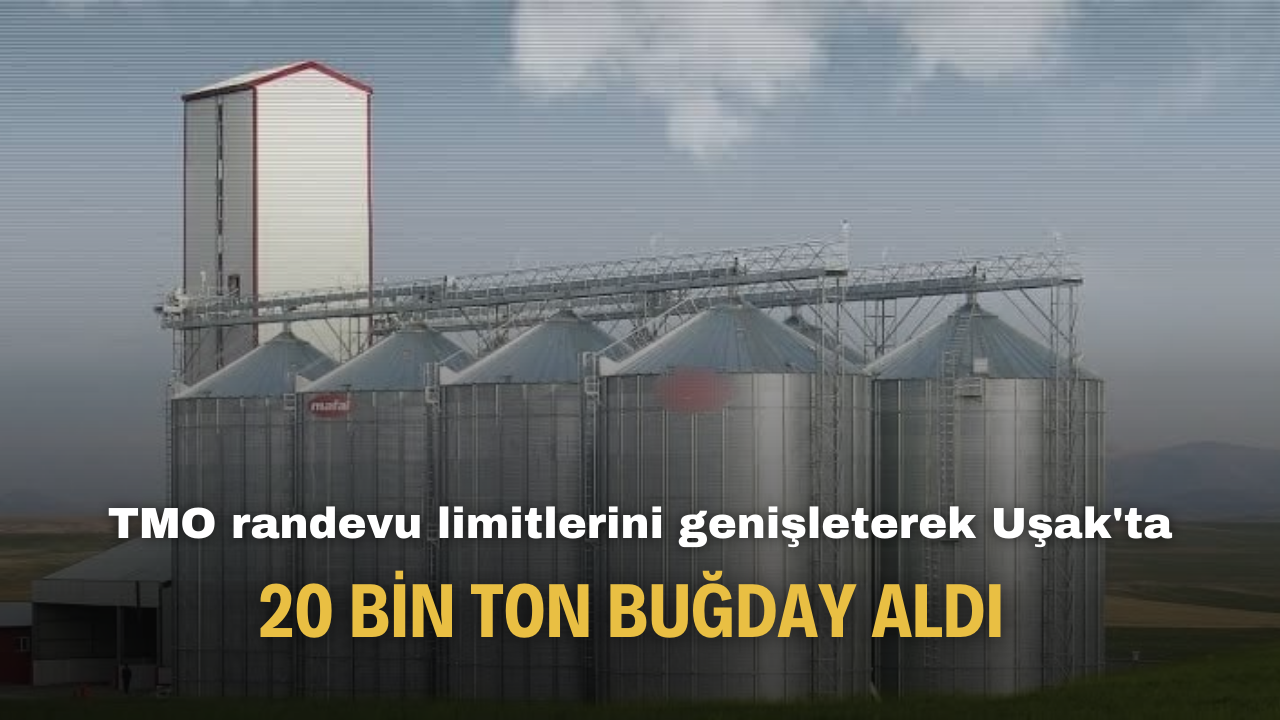 TMO randevu limitlerini genişleterek Uşak'ta  20 bin ton buğday aldı