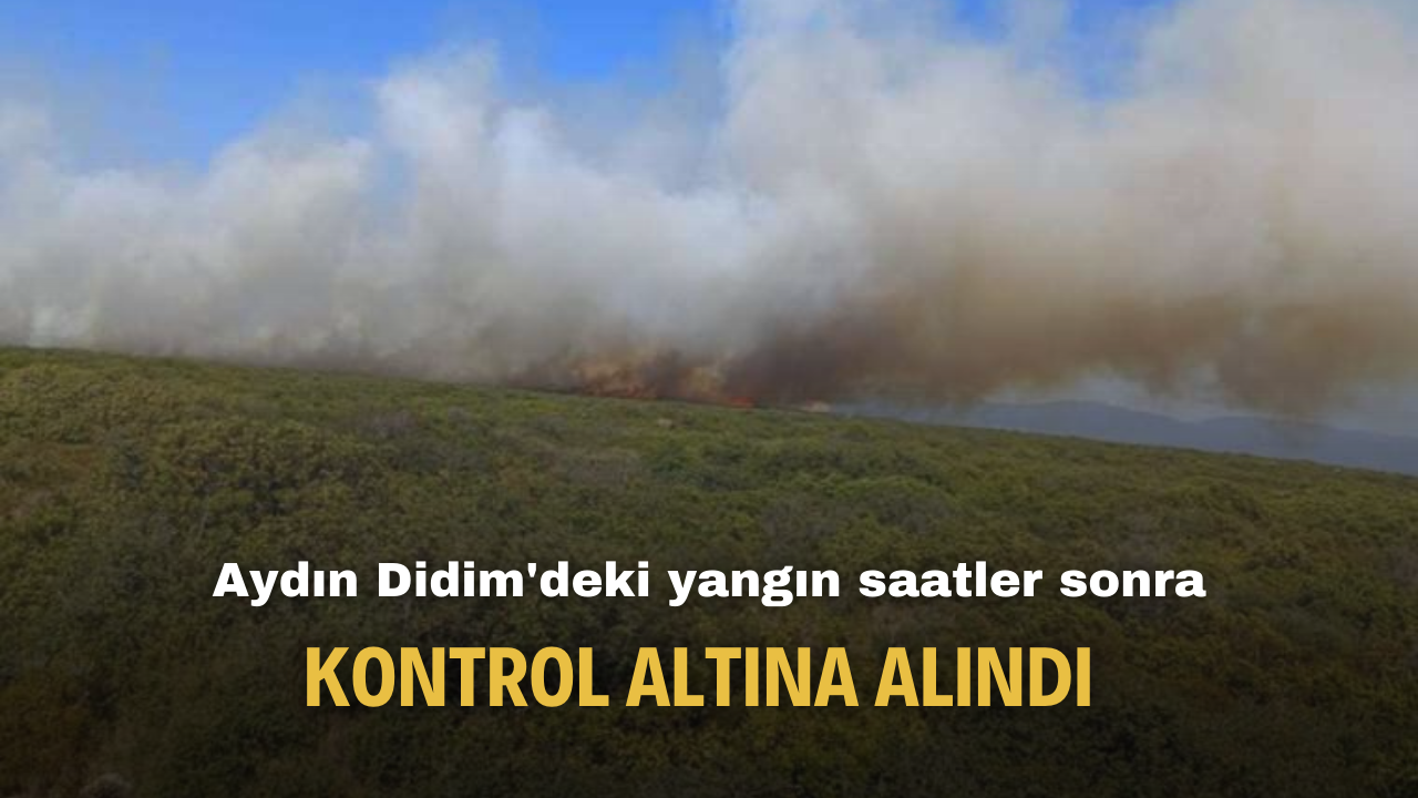Aydın Didim'deki yangın saatler sonra kontrol altına alındı