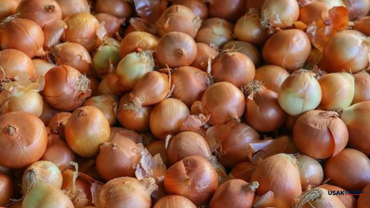 Meğer soğanı yanlış tüketiyormuşuz! Sakın böyle tüketmeyin hiçbir vitamini kalmıyor
