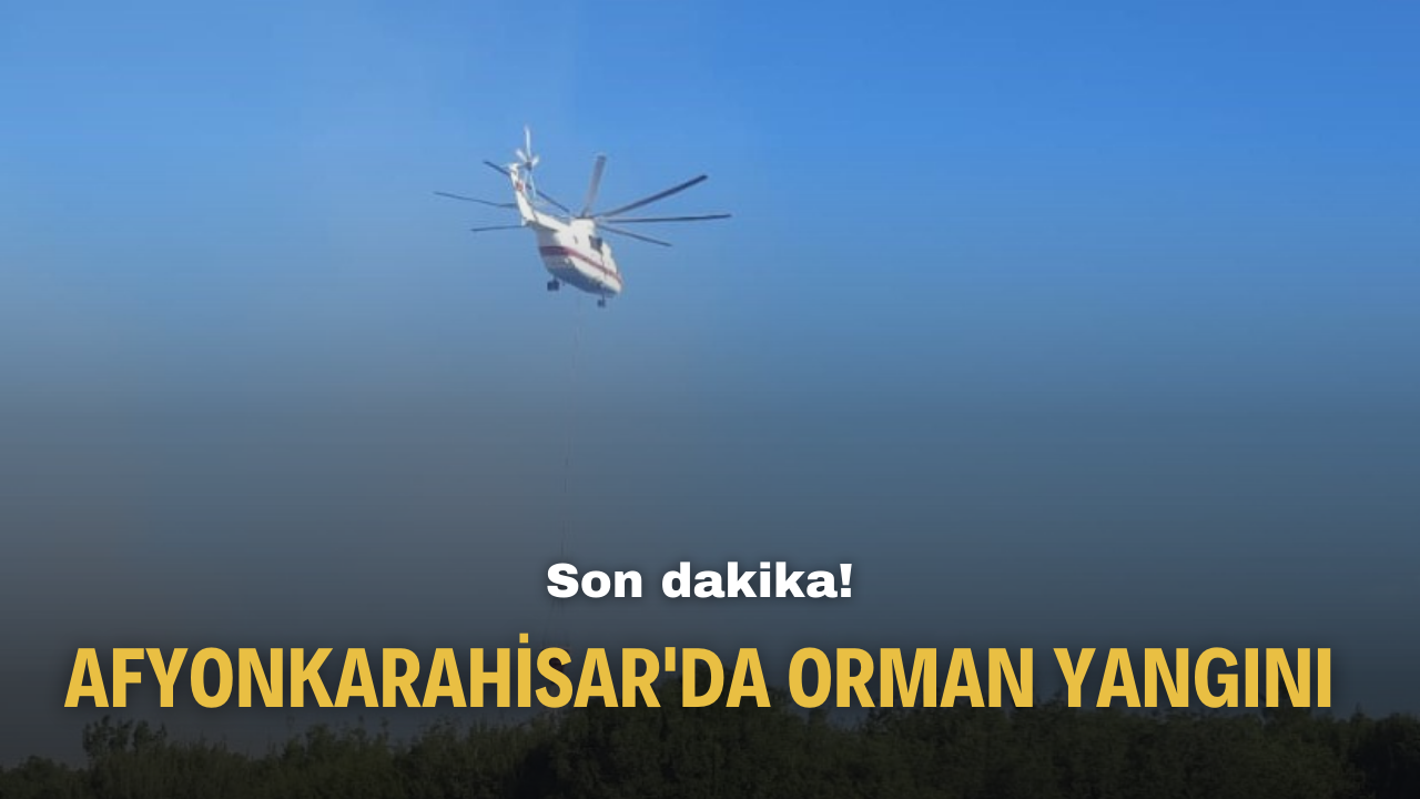 Son dakika Afyonkarahisar'da orman yangını