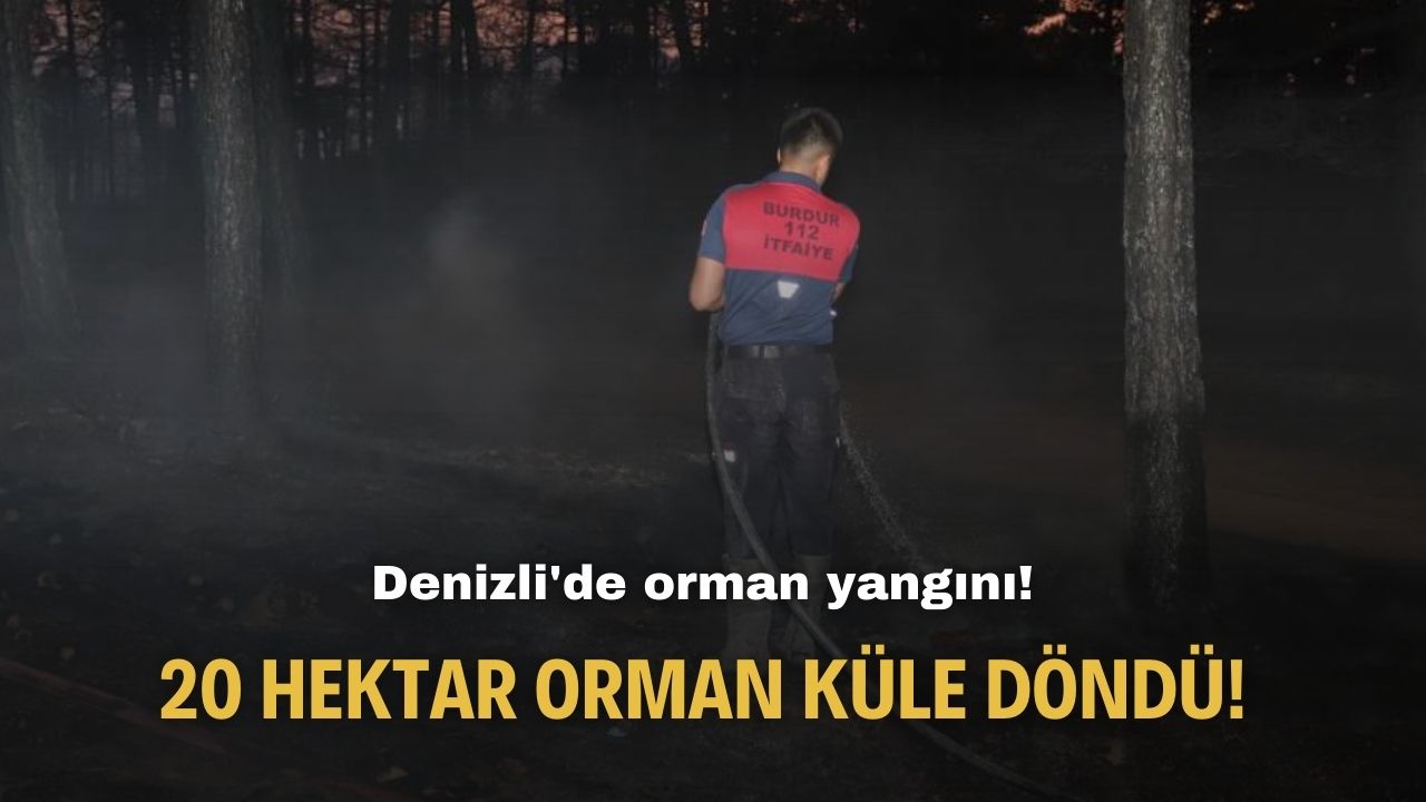 Denizli'de orman yangını! 20 hektar orman küle döndü!