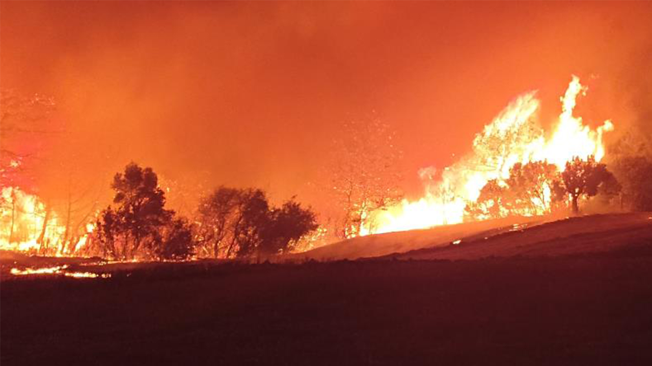 Çanakkale orman yangınında son durum! Yangın kontrol altına alındı mı?