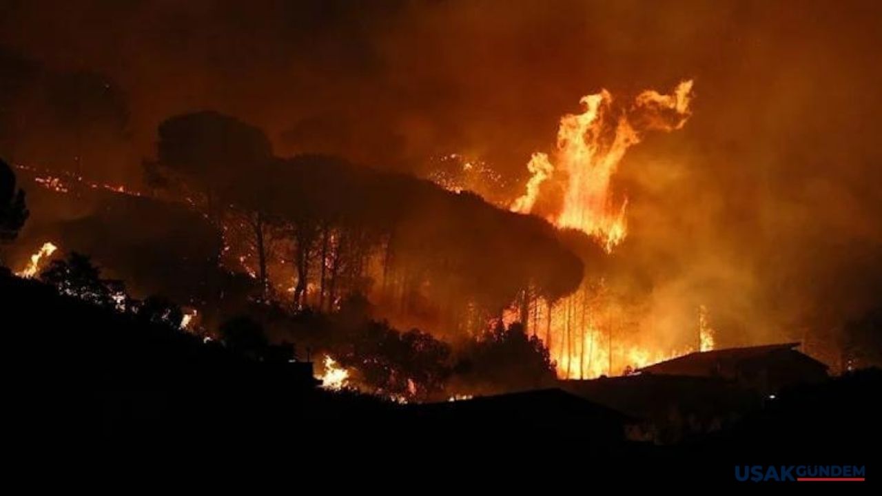 Sicilya’da büyük orman yangını devam ediyor
